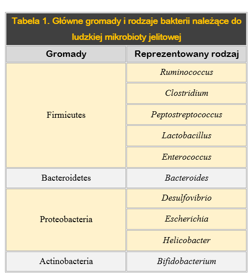 Tabela z gromadami i rodzajami bakterii jelitowych